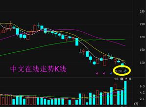 中文在線300364限售股解禁 能否助公司走出低谷，重振互聯網文化活動？